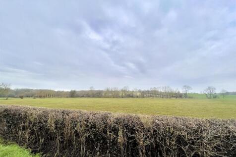 IMG_1597.JPEG