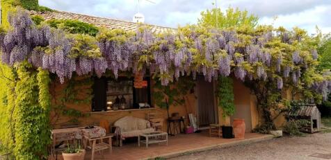 Property Image 70