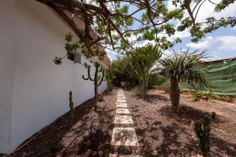 Property Image 58