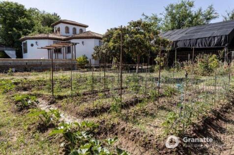 Property Image 41