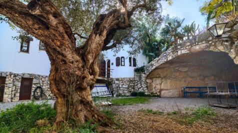 Property Image 11