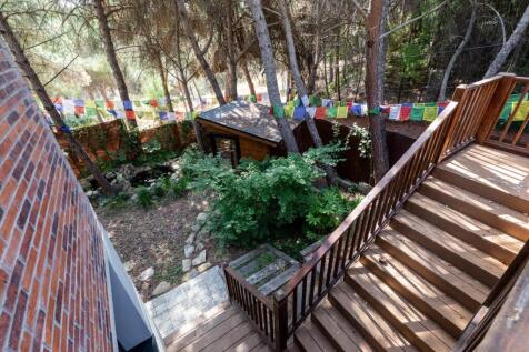 Property Image 63