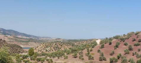 Property Image 22