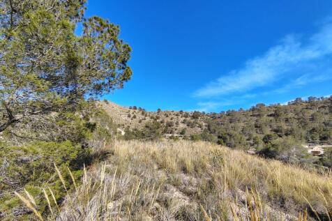 Property Image 9