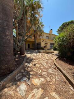 Property Image 58