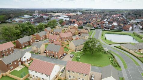 Development CGI