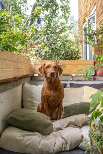 Chatsworth Estate, E5