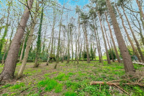 Property Image 66