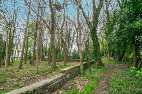 Property Image 67