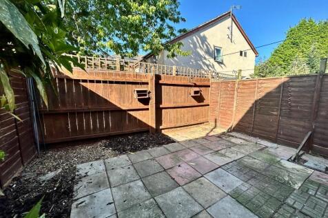 Rear Yard 