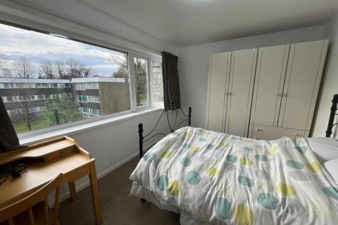 IMG-20250106-WA00...