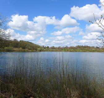 Surrounding Area