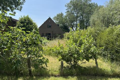 IMG_2080.jpeg