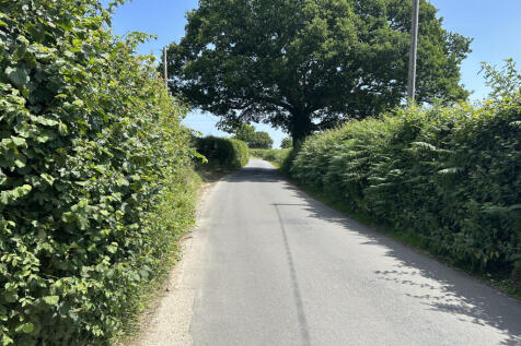 IMG_2139.jpeg