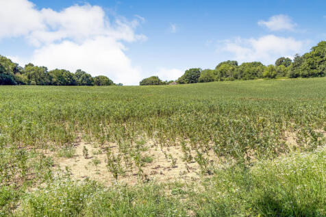 11-07-2025__15-33-47_IMG_0553.L02QZ