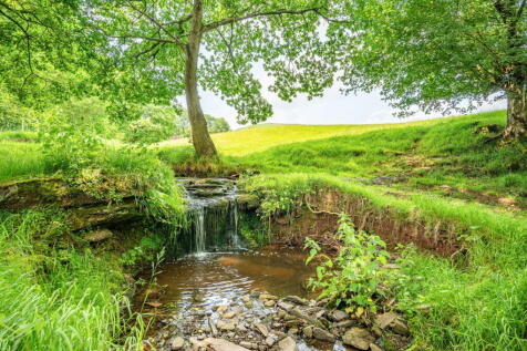 Property Image 67