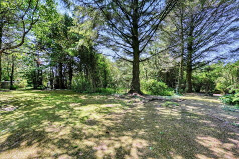 Property Image 50