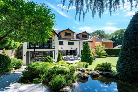 Property Image 42