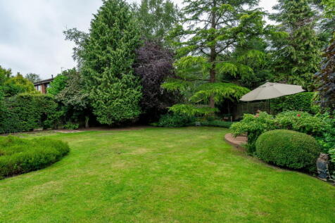 Property Image 39