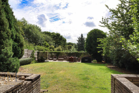 Rear Garden_1
