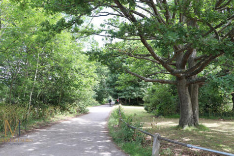weir-surroundings2