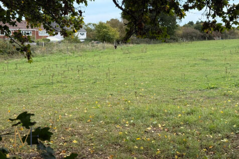 image0-1 (2).jpeg