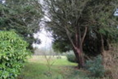 Communal gardens