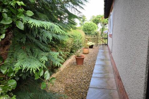 Side garden