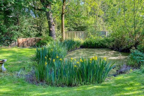 Property Image 22