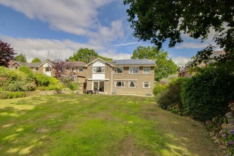 Property Image 25