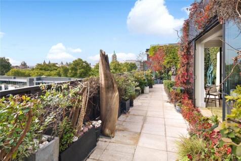 Roof Terrace