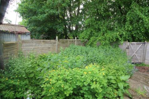 garden.JPG
