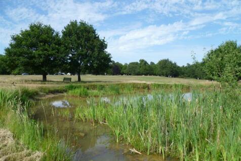 Hadley pond 2.jpg