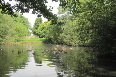 Hadley pond.jpg