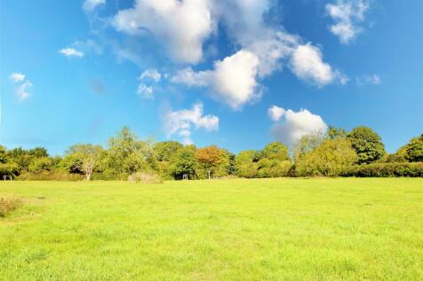 IMG_8447 copy 2.jpg