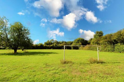 IMG_8449 copy 2.jpg