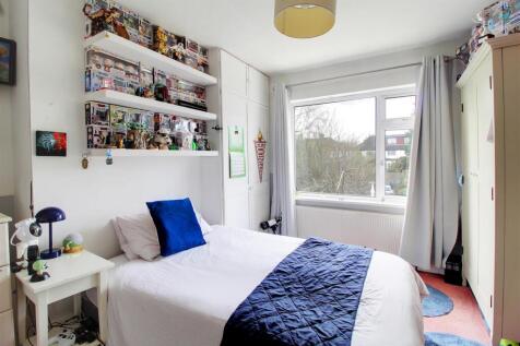 IMG_6546-IMG_6548 copy 2.jpg