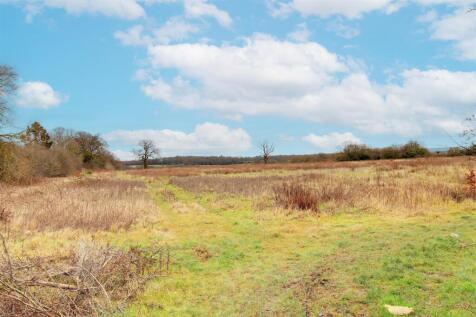 IMG_6753-IMG_6755 copy 2.jpg