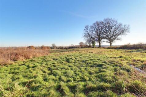 IMG_6492-IMG_6494 copy.jpg