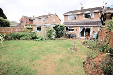 View of Rear Garden
