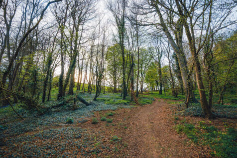 Property Image 27