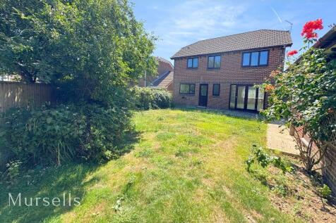 Property Image 17