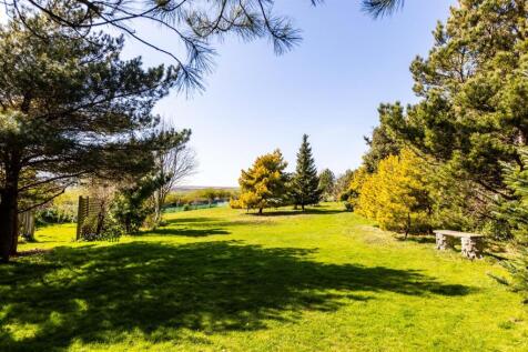 Grounds