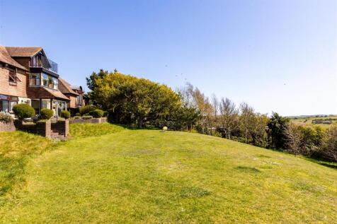 Back Garden