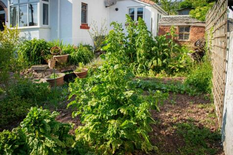 Property Image 44