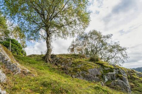 Property Image 39