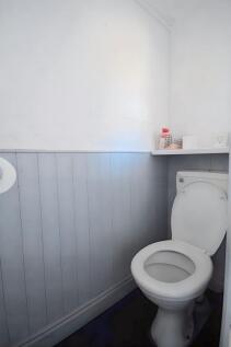 IMG_4362.jpeg