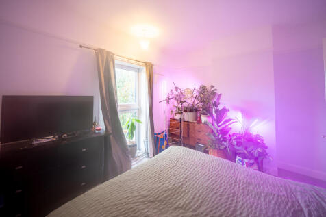 DSC05572-HDR
