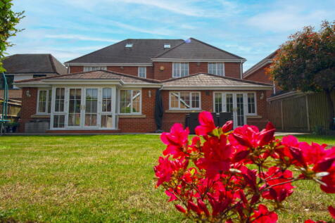 Property Image 37