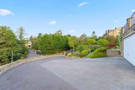 Driveway.jpg